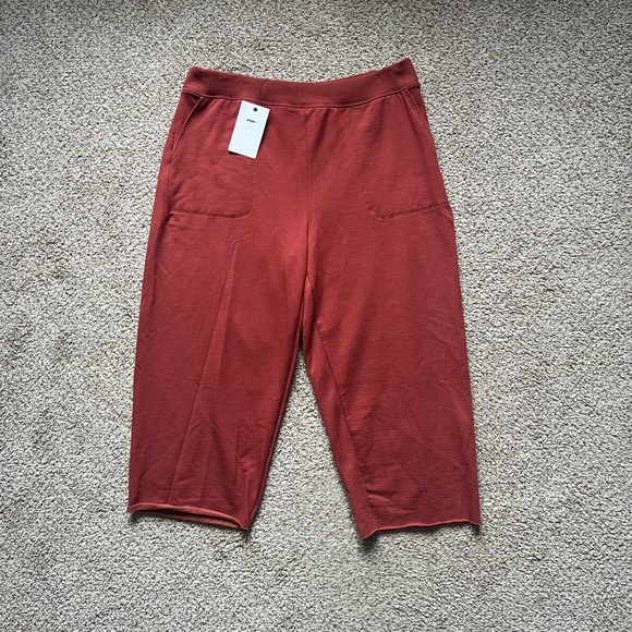 Nike Yoga Luxe Cropped Fleece Pants Rust Red Women’s Size Large - Picture 1 of 7